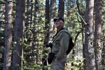 Whites Creek Hike